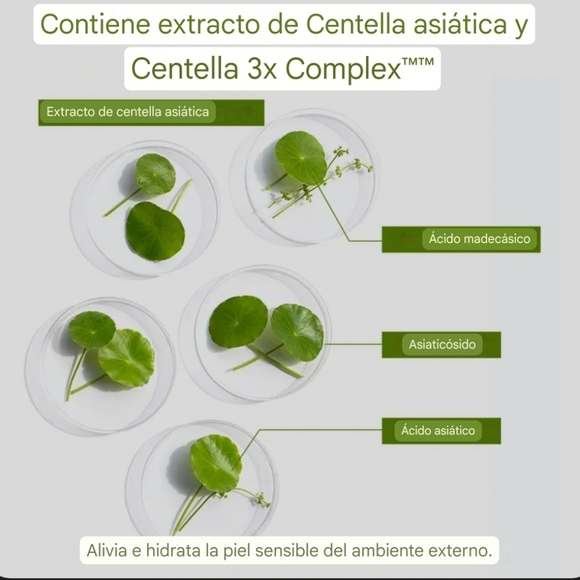 📢Español. Crema hidratante con ácido hialurónico ceramida HA B5, 55 - Picture 4 of 9